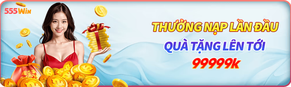 baner555win